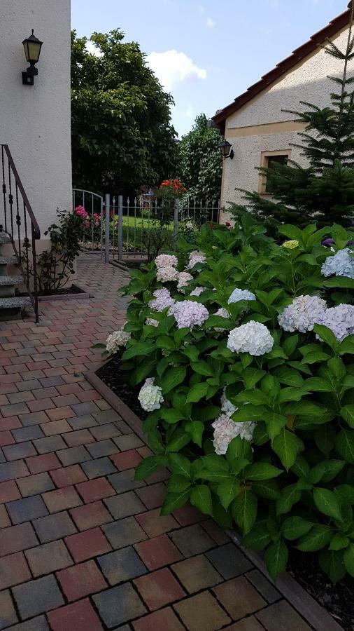 Ferienwohnung グリンマ エクステリア 写真